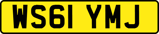 WS61YMJ