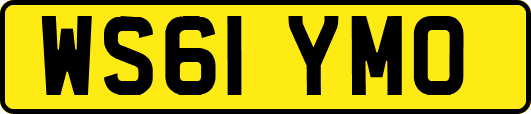 WS61YMO