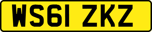 WS61ZKZ