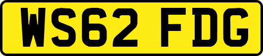 WS62FDG