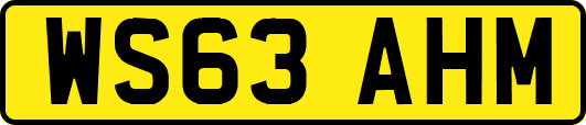WS63AHM