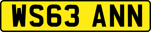 WS63ANN