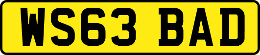 WS63BAD