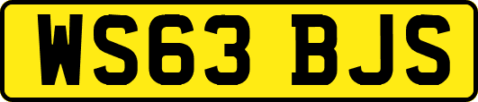 WS63BJS