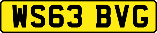 WS63BVG