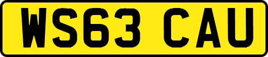 WS63CAU