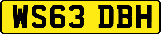 WS63DBH