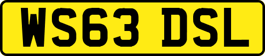 WS63DSL