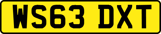 WS63DXT