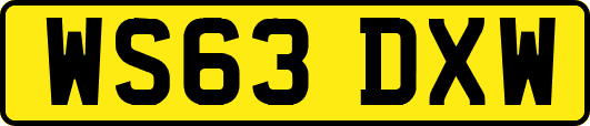 WS63DXW