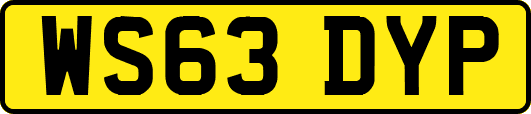 WS63DYP