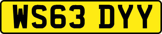WS63DYY