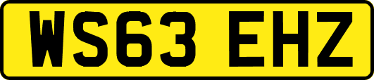 WS63EHZ