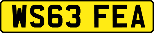 WS63FEA