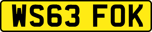 WS63FOK