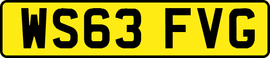 WS63FVG