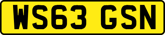 WS63GSN