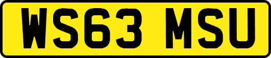 WS63MSU