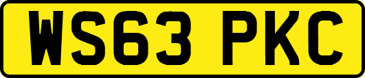 WS63PKC