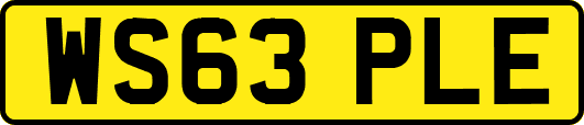 WS63PLE