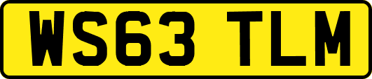 WS63TLM