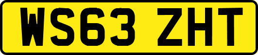 WS63ZHT