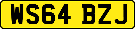 WS64BZJ