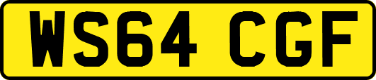 WS64CGF