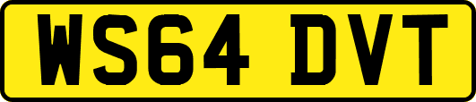 WS64DVT