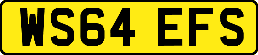 WS64EFS