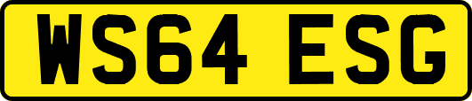 WS64ESG