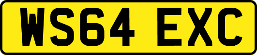 WS64EXC