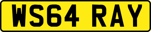 WS64RAY