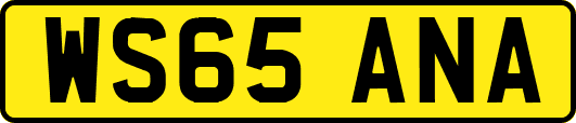 WS65ANA