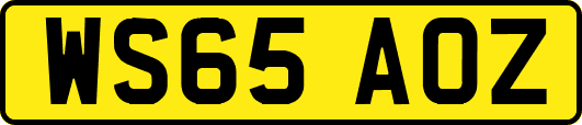 WS65AOZ
