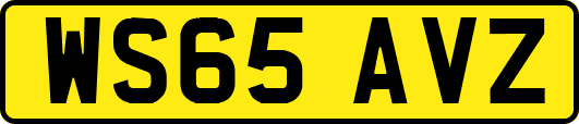 WS65AVZ