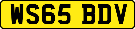 WS65BDV