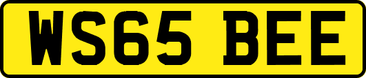 WS65BEE