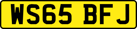 WS65BFJ