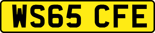 WS65CFE