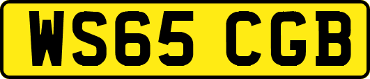 WS65CGB