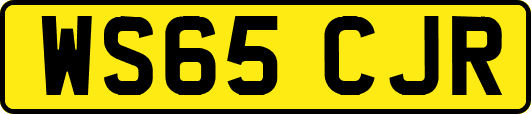 WS65CJR