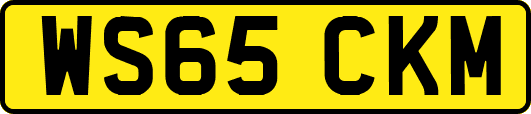 WS65CKM