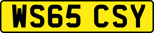 WS65CSY