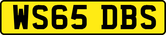 WS65DBS