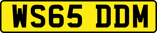 WS65DDM