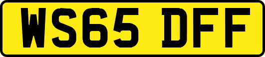 WS65DFF