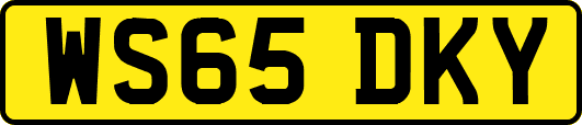WS65DKY