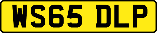 WS65DLP