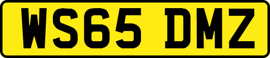 WS65DMZ